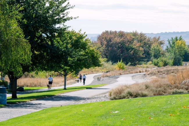 park setting with a paved walking path and trees