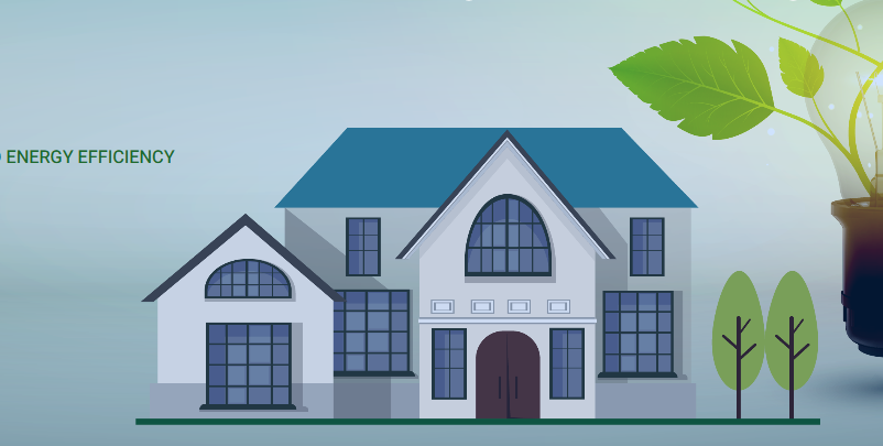 Energy Efficiency Programs